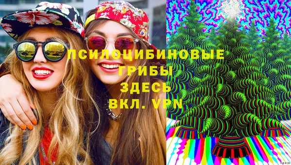 MDMA Premium VHQ Ладушкин