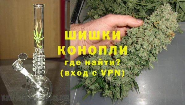 прущие крисы Абаза