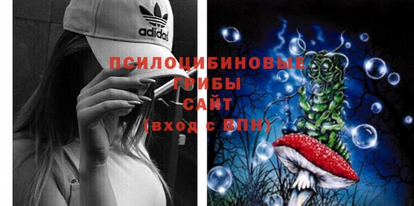 бошки Лагань