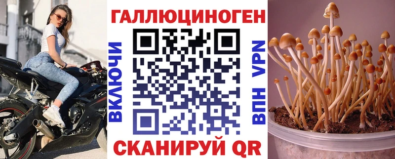 Галлюциногенные грибы Cubensis  кракен вход  Оренбург  что такое  